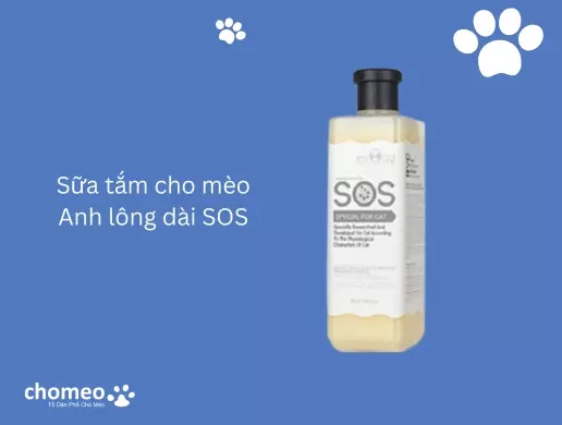 Sữa tắm cho mèo Anh lông dài SOS