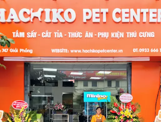 Mua Mèo Đà Nẵng – Pet Shop Hachiko