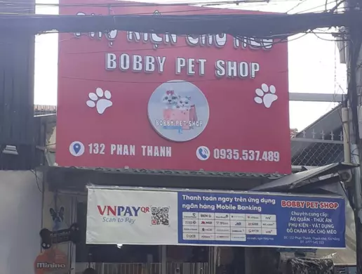 Shop Bán Mèo Đà Nẵng – Bobby Pet